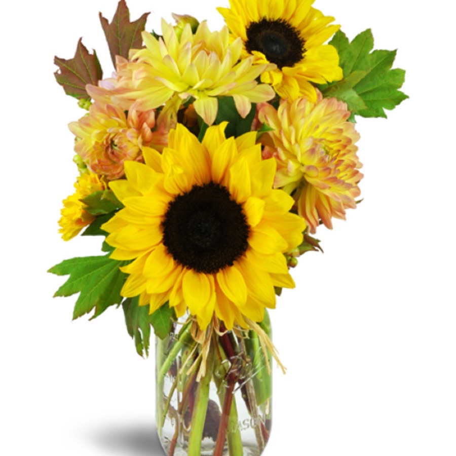 Just Because flowers from Anderson&rsquo;s Flowers