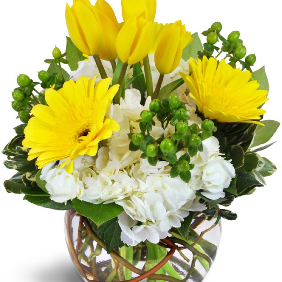Get Well flowers from Anderson&rsquo;s Flowers